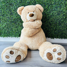 Load image into Gallery viewer, Teddy Bears Stuffed Animal Rental

