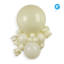 Load image into Gallery viewer, 205954 Gemar Ivory 19" Round (25ct)
