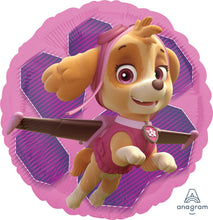 Load image into Gallery viewer, 34088 Paw Patrol Skye &amp; Everest
