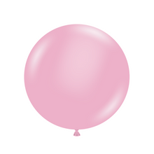 Load image into Gallery viewer, 17006 Tuftex Pink 17" Round (50ct)
