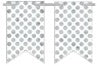 Load image into Gallery viewer, 120508 Create Your Own Pennant Banner - 2 Point White/Silver
