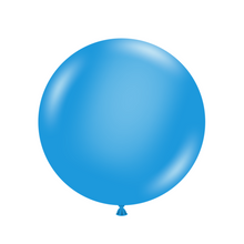 Load image into Gallery viewer, 24003 Tuftex Blue 24" Round (1ct)
